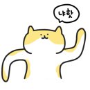 손안마원 이미지