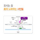 샤인필의원 이미지