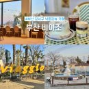 식만로 | [부산] 강서구 식만로 비아조 정원있는 낙동강뷰 카페 내돈내산 겨울에 가신다고요?