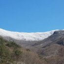 점필재로 이미지