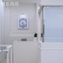 센트퍼피 이미지