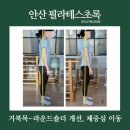 플럼라인 | 필라테스초록/ 안산필라테스 거북목 교정 체중심 이동 후기