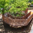 일산초등학교 이미지