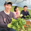 박종현농장 이미지