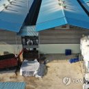 중인농장 이미지