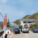 남연허브 이미지