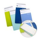 모닝글로리 이미지