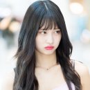모모9