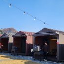 태우하우스 | 당일 글램핑 아이와 갈만한곳 캠프데이즈 안성 캠프닉 솔직후기