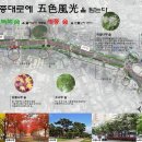 세종대로 이미지