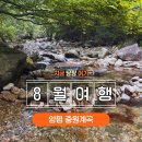 중원계곡(주차장) | 경기도 계곡 추천 중원계곡 애견동반 주차장 물놀이 포인트 후기