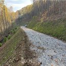 아산시-2024-010 이미지