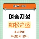 여송지성 이미지