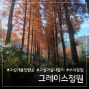 월광교회 작은도서관 | 그레이스정원 고성 가을 단풍 메타세쿼이아 힐링 나들이