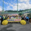 무학초등학교 이미지