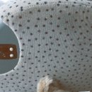 캐슬호프 이미지