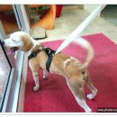 유경동물병원 이미지