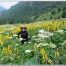 【 소오대산 (2882m)-북령산(1915m)-만리장성 】2016년 7월일(목요)-7월10일(일요)/ 실속 3박 4일 이미지