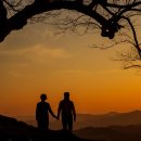 사랑나무 이미지