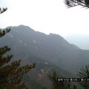 단양보건소 건너편 이미지