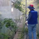 남구-120 프레시안
