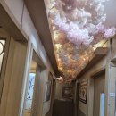 환상참치 이미지