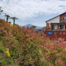 학섬식당펜션 이미지