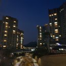깨금족발 - 부천시 원미구 삼작로280번길 53-15 | 삼가동 맛집 족발푸드카 깨금 왕족발