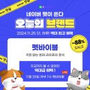 펫바이블 이미지