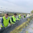 이기복농장 이미지