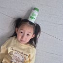 미니닷츠 멀티비타민 미네랄 🍓어린이 건강기능식품 딸기맛 츄어블 비타민 후기 한국 어린이 일일섭취권장량