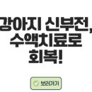 양양동물병원 이미지