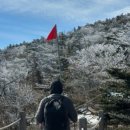 제주팜파스펜션 이미지