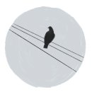 천년치킨 이미지