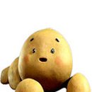 강아지똥 Daum카페