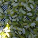 용우외가농장 이미지