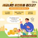 포인트 이미지
