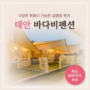 아리솔펜션 | 태안 안면도 글램핑 가능한 펜션 바다비펜션