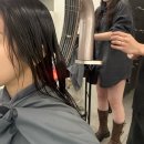 강남구청역 미용실 뿌리매직 후기 비오른헤어 청담 (한나수석실장)