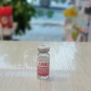 토닌주