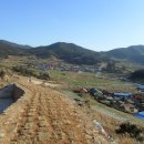 구담체육공원 이미지