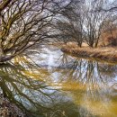 부엉덤이 이미지