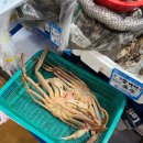 진도수산 | [노량진수산시장 후기] 노량진 수산시장 1층 100호 진도진진수산 대게, 방어 구매 후기