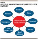 몸이 아프면 왜 기분도 꽝일까? 스트레스와 염증과의 관계 (Sickness behavior) 이미지