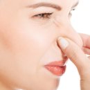 박찬호야구장야구장 이미지