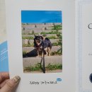 펫콩 | 반려동물등록 , 강아지 외장칩 개민증까지 페오펫에서 한번에! 페오펫후기