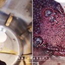 혁이농장 이미지