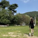 하얀이언니네 이미지