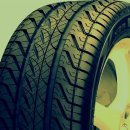 타이어사자 이미지