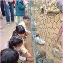 [4분기] 창의력 쑥쑥 미술로 떠나는 마음여행 | 강릉 아이랑 여행 꼭 가봐야 할 곳은 여기!